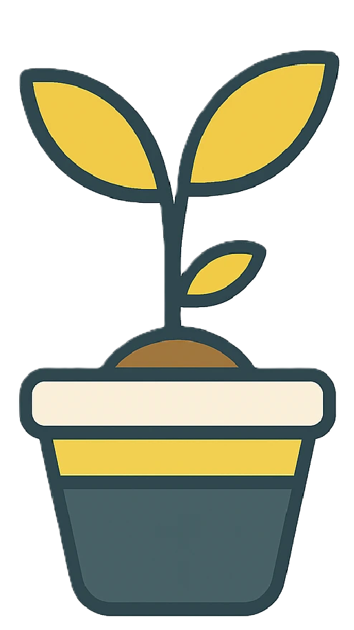 The plant grows its first leaves
